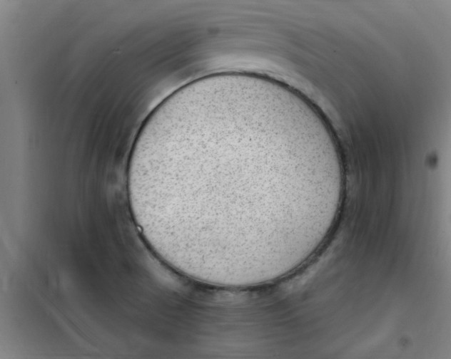X0000099481521200805301608