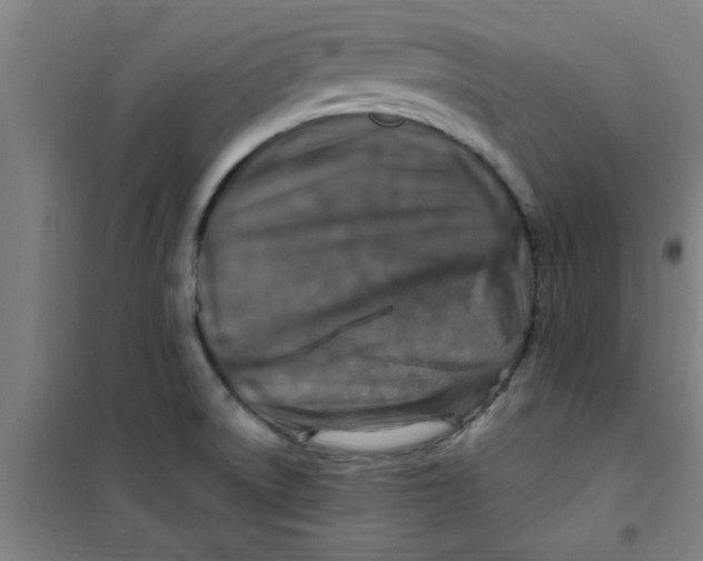 X0000099481522200805301608