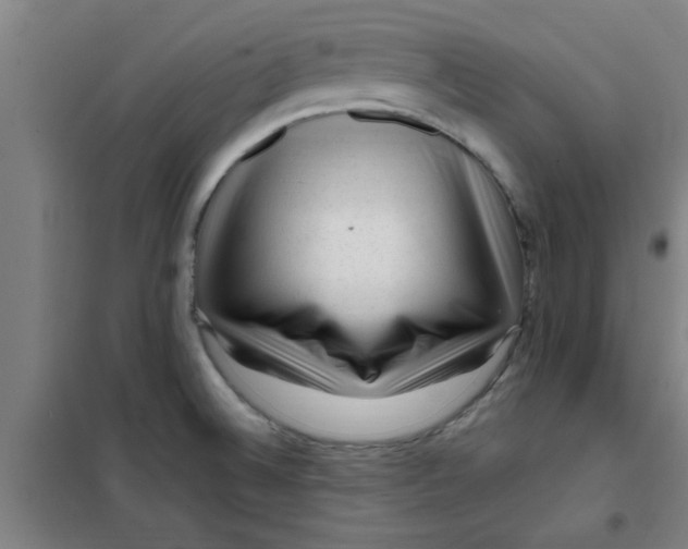 X0000099481524200805301608