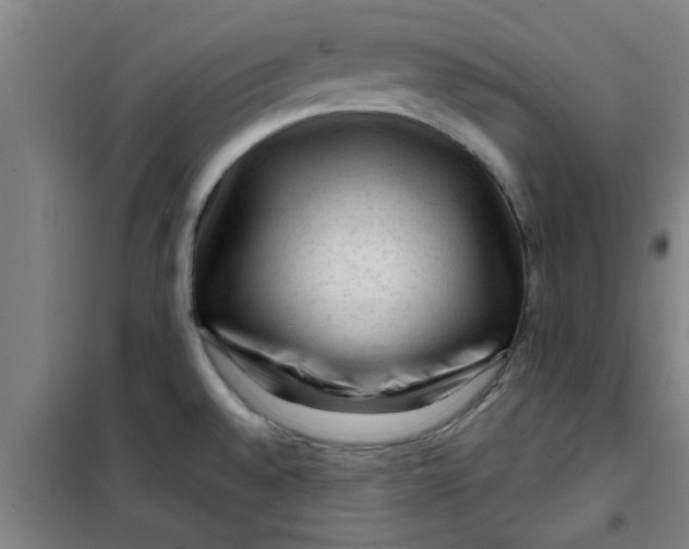 X0000099481528200805301608