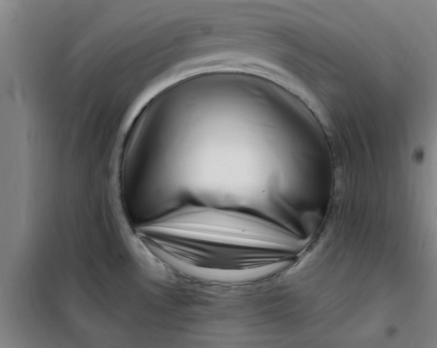 X0000099481530200805301608