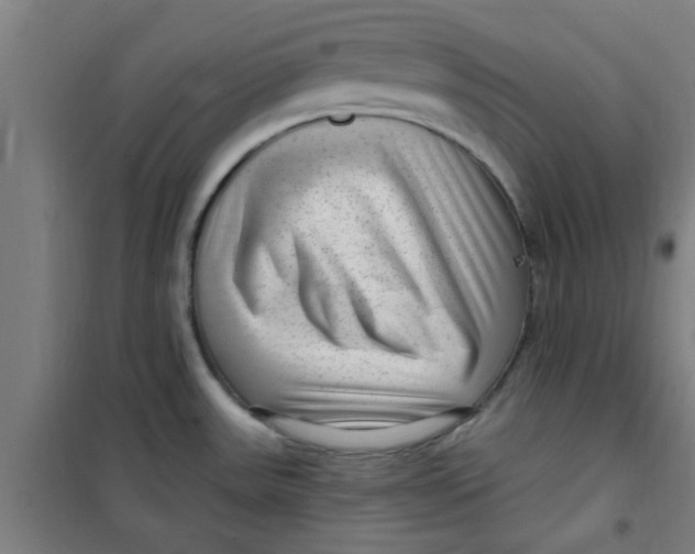 X0000099481531200805301608
