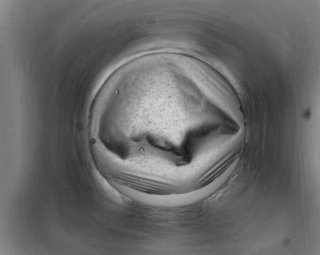 X0000099481532200805301608