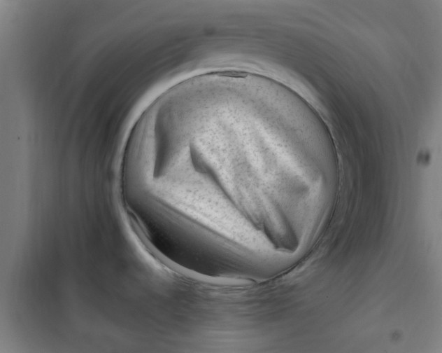 X0000099481536200805301608