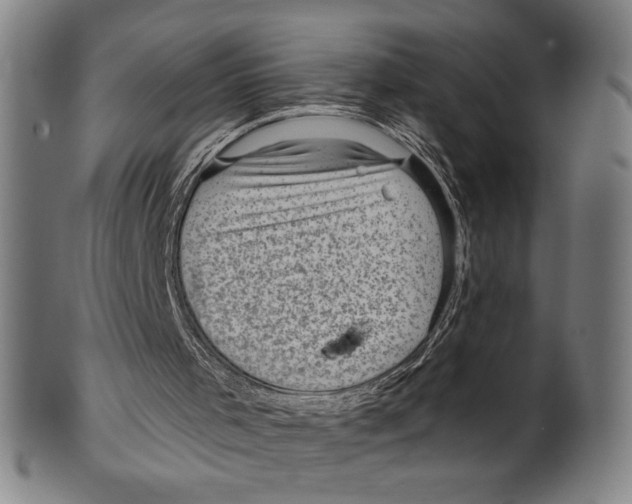 X0000099480001200806061256