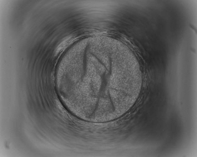 X0000099480002200806061256