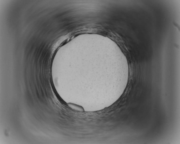 X0000099480003200806061256