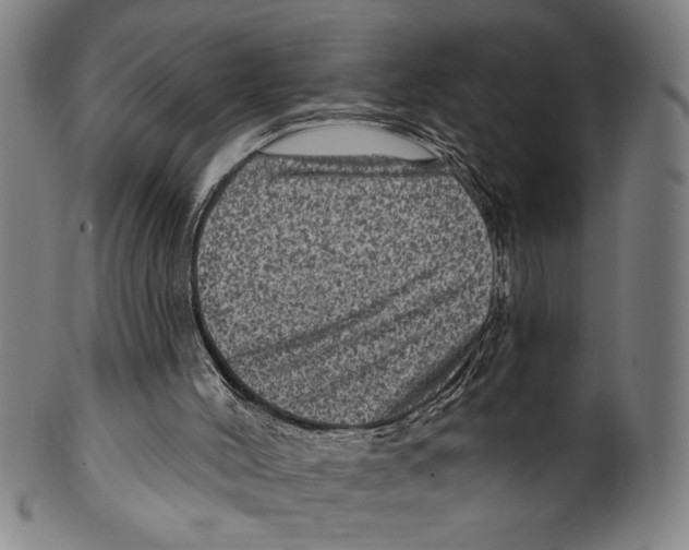 X0000099480004200806061256