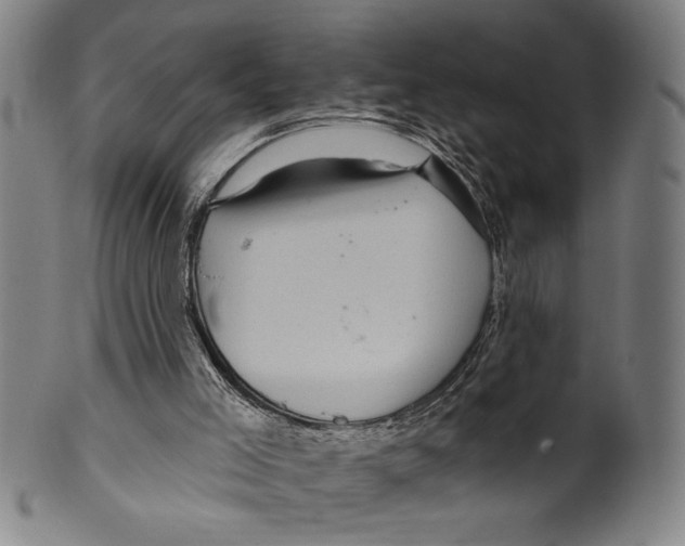 X0000099480005200806061256