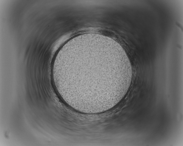X0000099480006200806061256