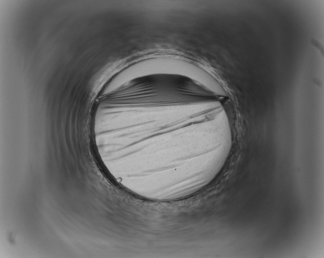 X0000099480007200806061256