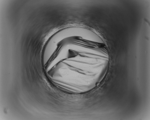 X0000099480008200806061256