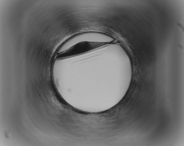 X0000099480012200806061256