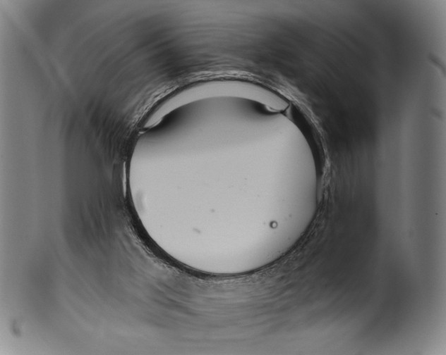 X0000099480013200806061256