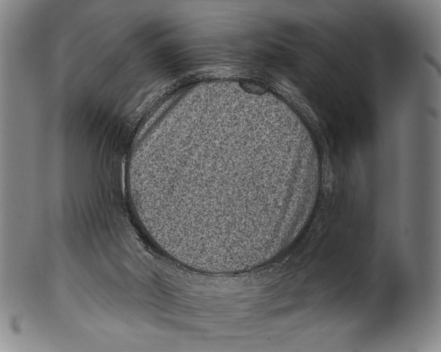 X0000099480014200806061256