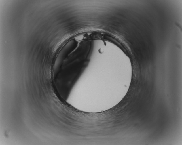 X0000099480015200806061256