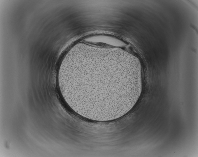 X0000099480016200806061256
