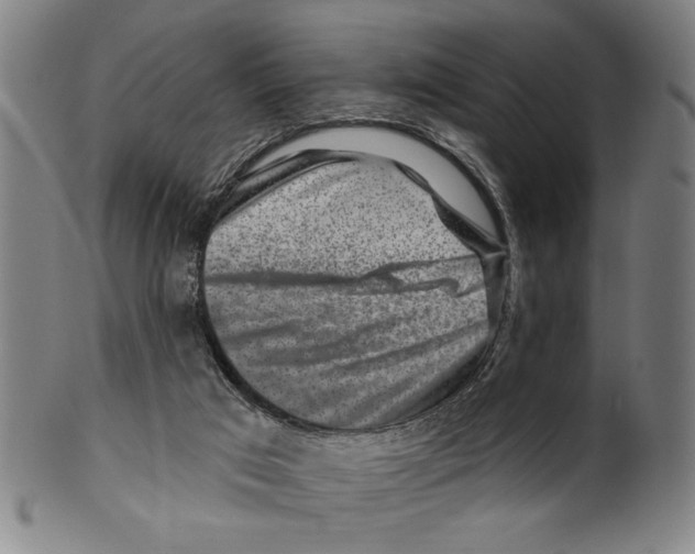 X0000099480017200806061256
