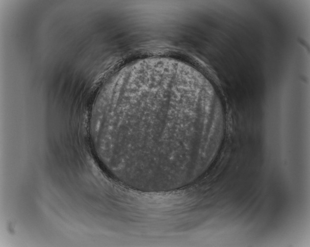 X0000099480018200806061256
