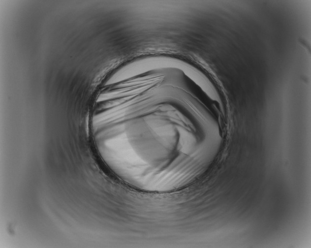 X0000099480019200806061256
