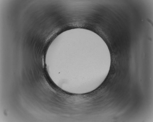 X0000099480020200806061256