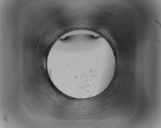 X0000099480021200806061256
