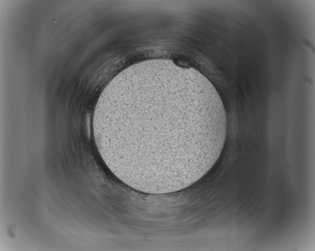 X0000099480022200806061256