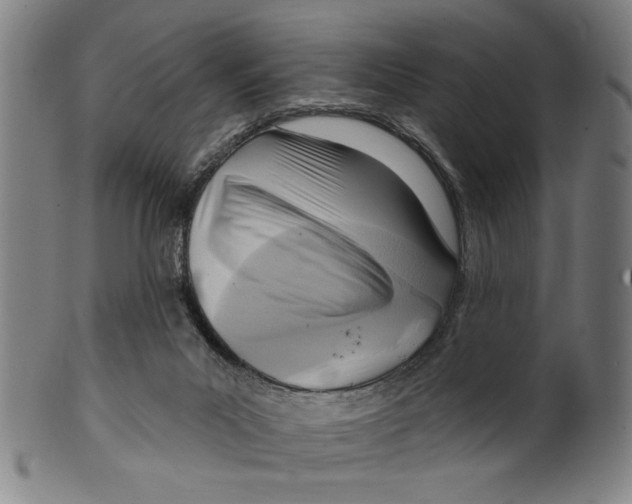 X0000099480023200806061256