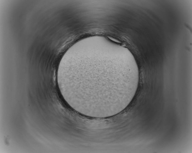 X0000099480024200806061256