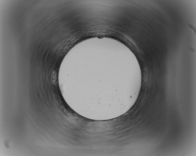 X0000099480025200806061256