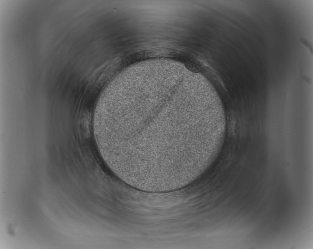 X0000099480026200806061256