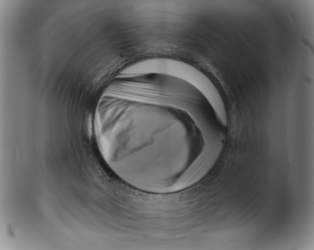 X0000099480027200806061256