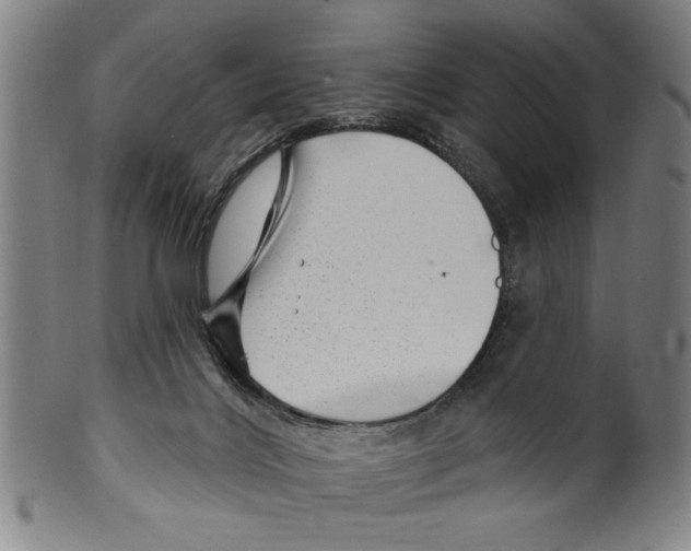 X0000099480028200806061256