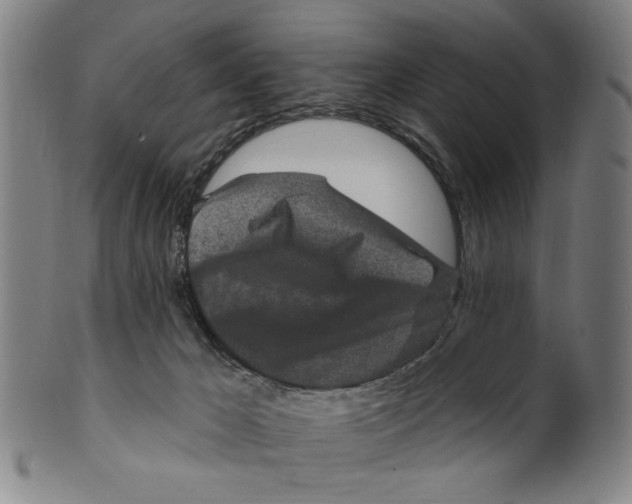 X0000099480029200806061256