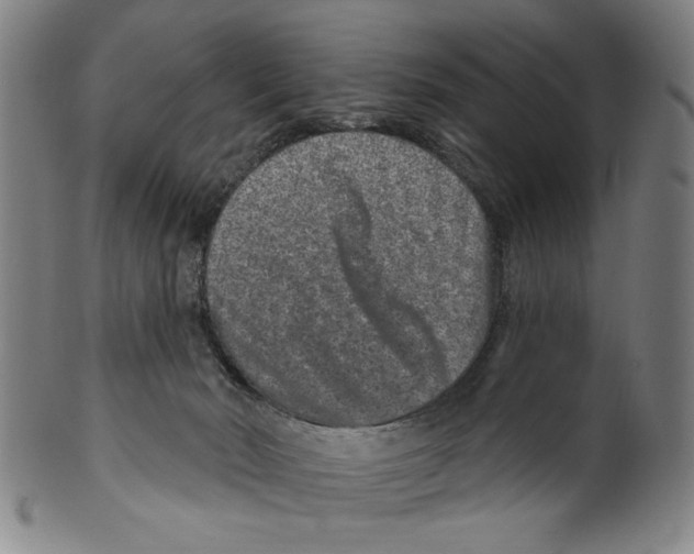 X0000099480030200806061256