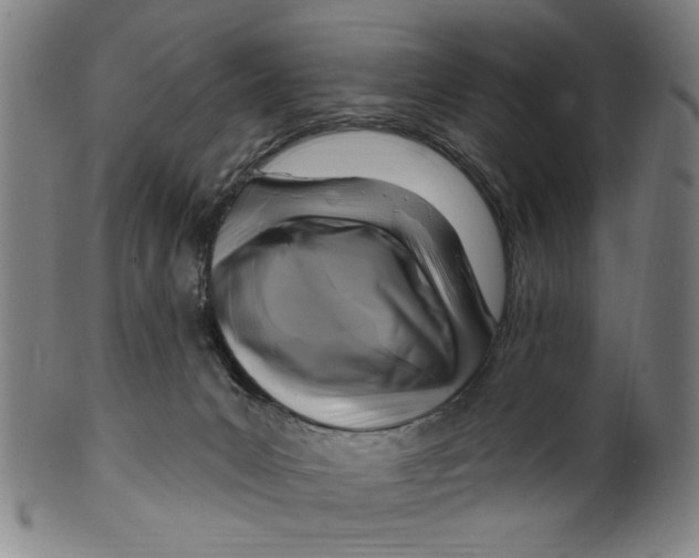 X0000099480031200806061256