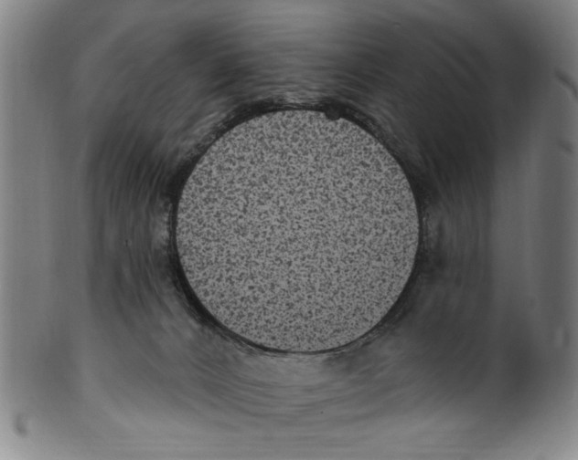 X0000099480032200806061256