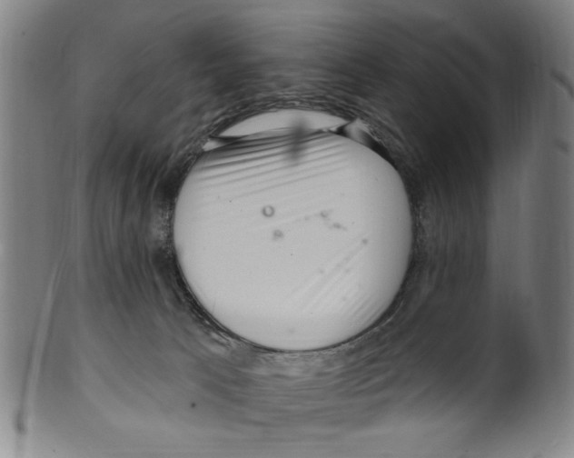 X0000099480033200806061256