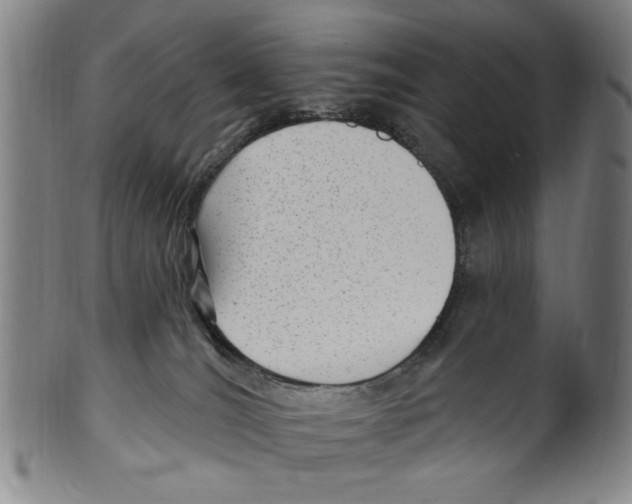 X0000099480036200806061256