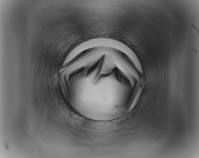X0000099480037200806061256