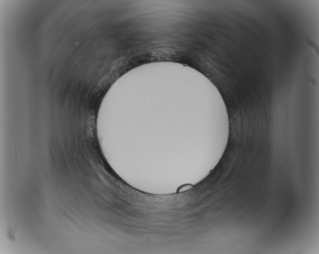 X0000099480038200806061256