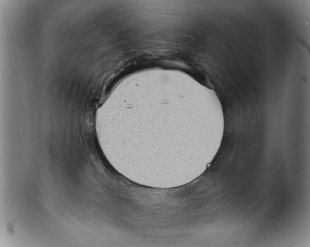 X0000099480040200806061256