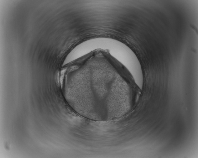 X0000099480041200806061256
