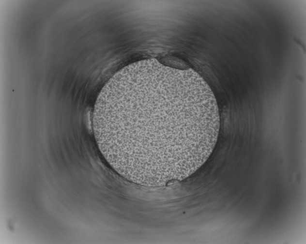 X0000099480042200806061256
