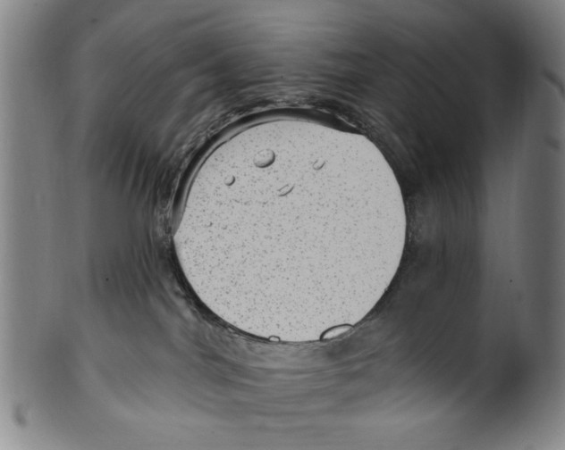 X0000099480044200806061256
