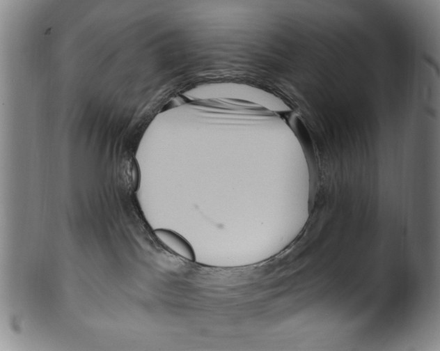 X0000099480045200806061256