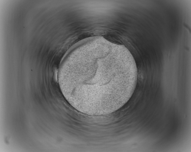 X0000099480046200806061256