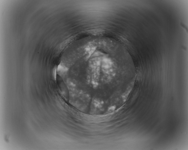 X0000099480047200806061256