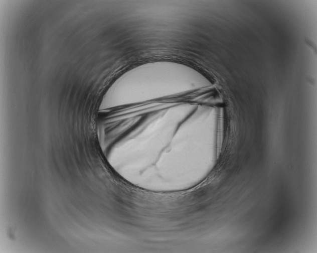 X0000099480048200806061256
