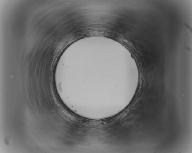 X0000099480049200806061255